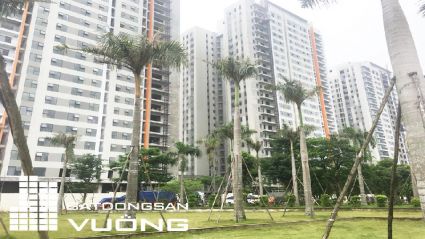 Bán Liền kề La Casta căn góc vị trí đẹp 3 mặt tiền  lô H-TT2,3  mặt đường nhà hướng Tây - Bắc, Đông Bắc, Tây Nam